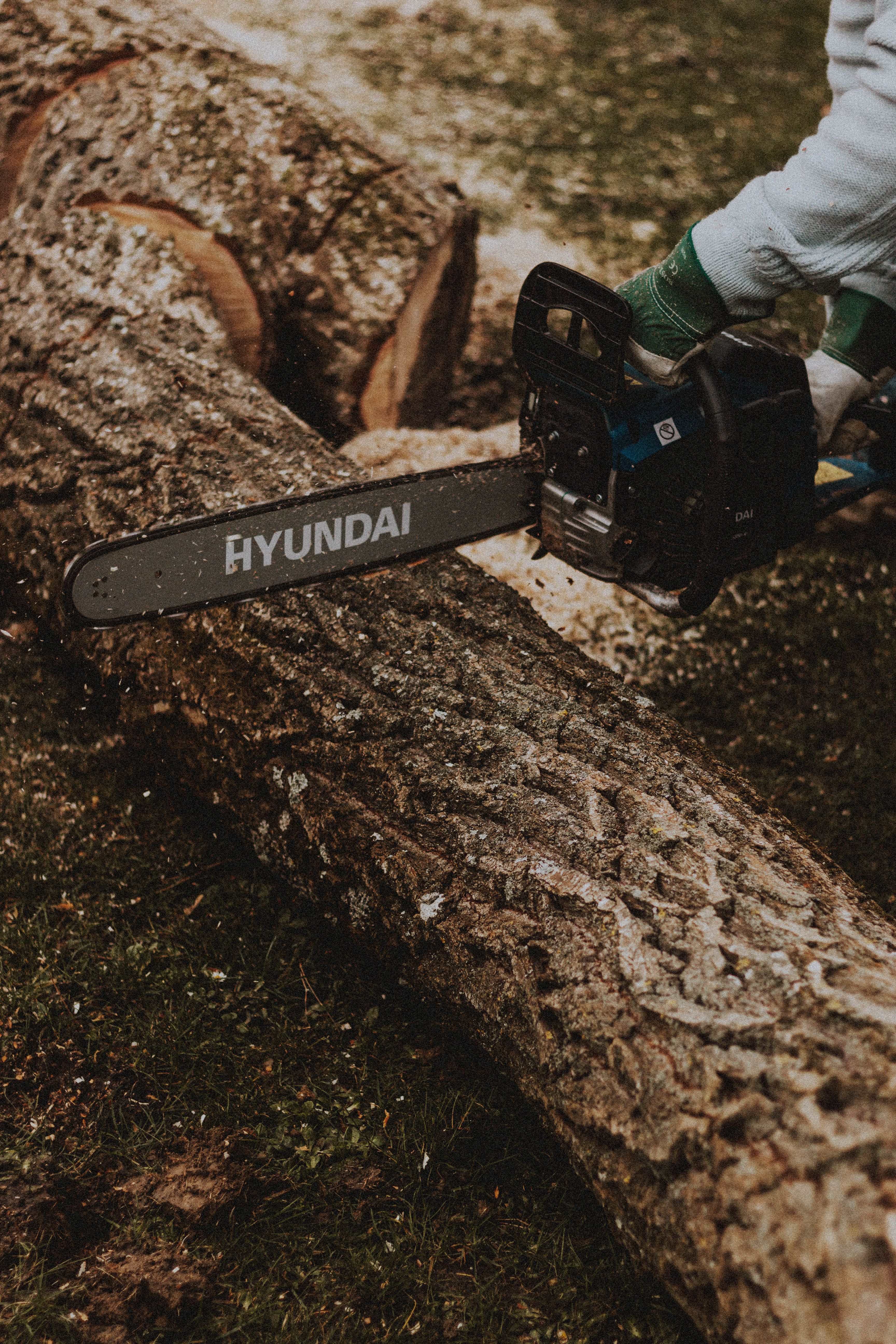 Tree removal Romeoville IL